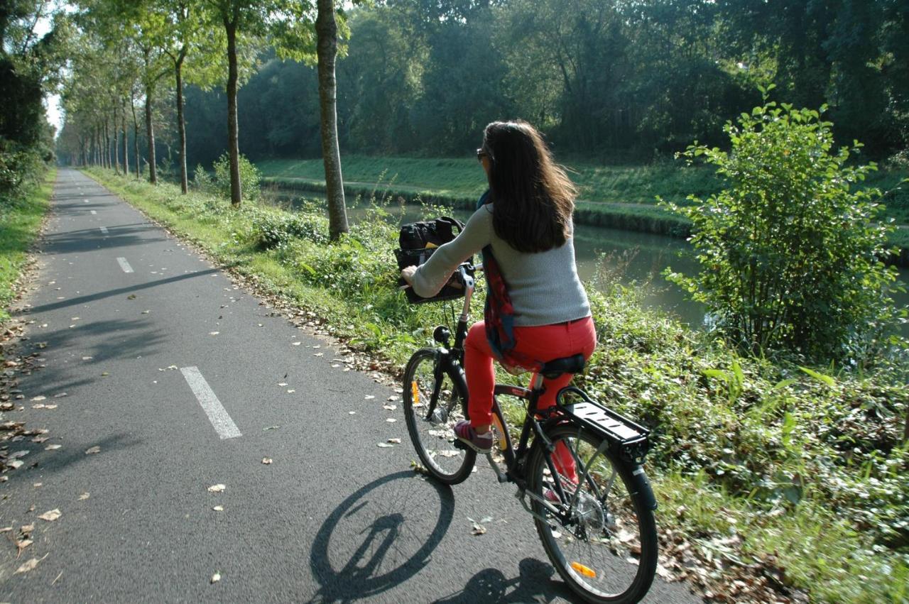 Gite Bord De Marne Paris Bry-sur-Marne Ngoại thất bức ảnh